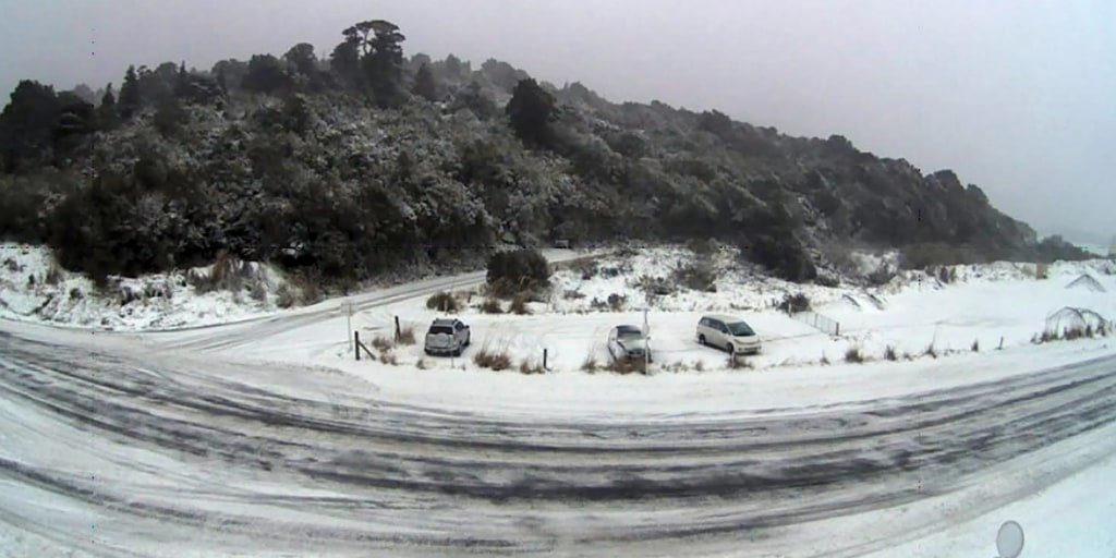 Snowfall disrupts life in New Zealand as cold snap brings icy conditions and road closures