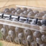 UAE confirms no E. coli contamination from US berry products