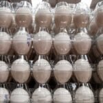 UAE confirms no Salmonella-linked eggs from US in local market