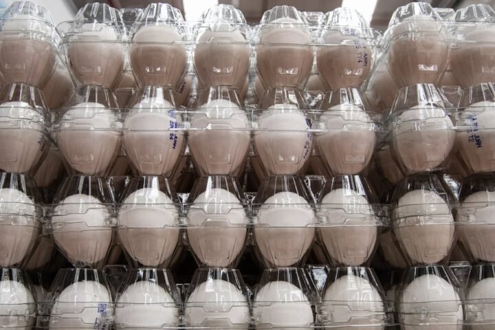UAE confirms no Salmonella-linked eggs from US in local market
