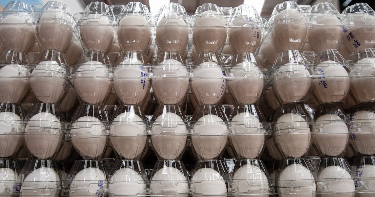 UAE confirms no Salmonella-linked eggs from US in local market