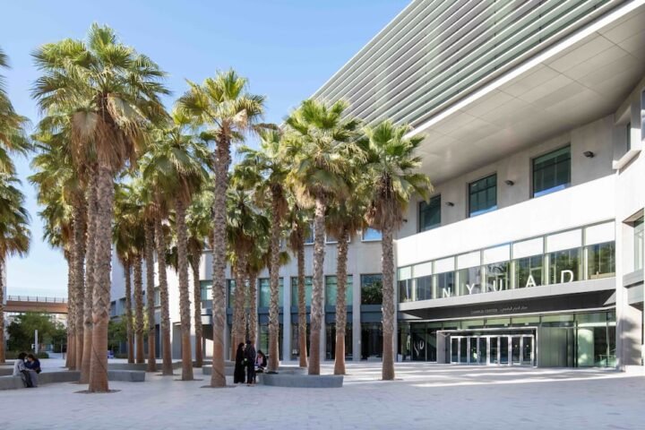 UAE scientists develop biodegradable gastric stent to address post-surgery complications