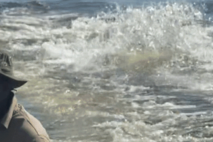 Video captures hippo charging at tourists' boat in Botswana