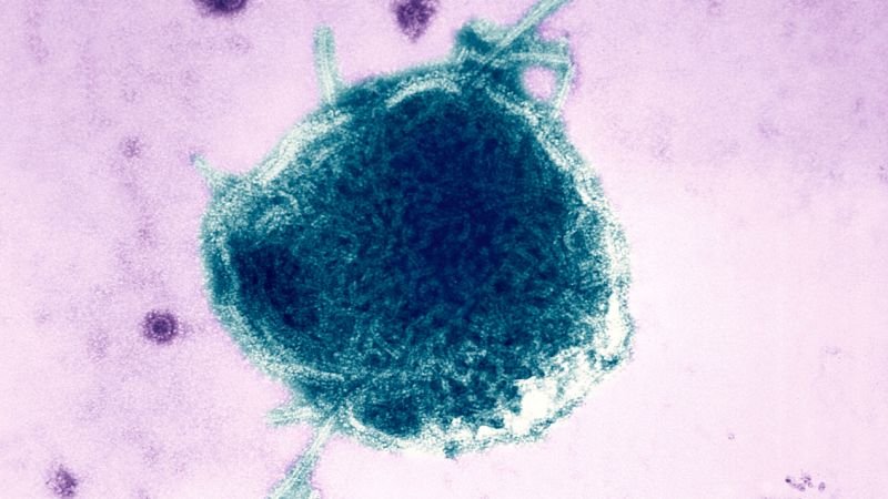 War of words erupts after two measles-related deaths reported in Pennsylvania
