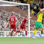 West Brom's Aune Heggebo banned for two matches after handball goal against Norwich