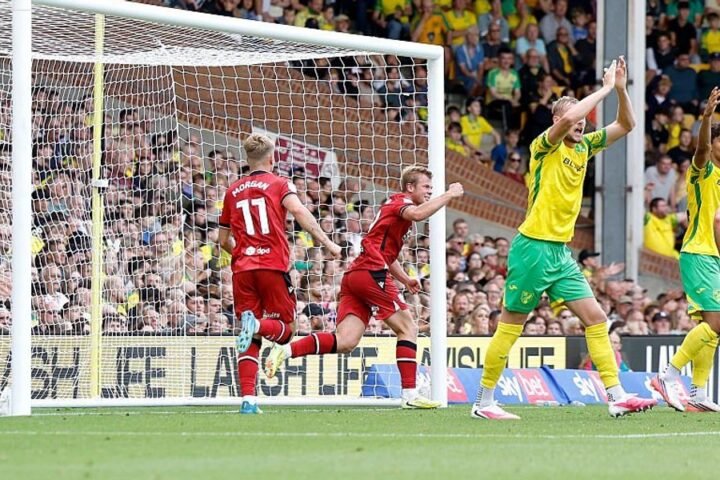 West Brom's Aune Heggebo banned for two matches after handball goal against Norwich