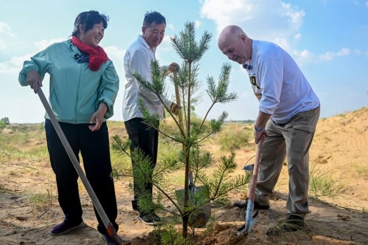 American teacher’s donation aids reforestation efforts in China amid mixed progress