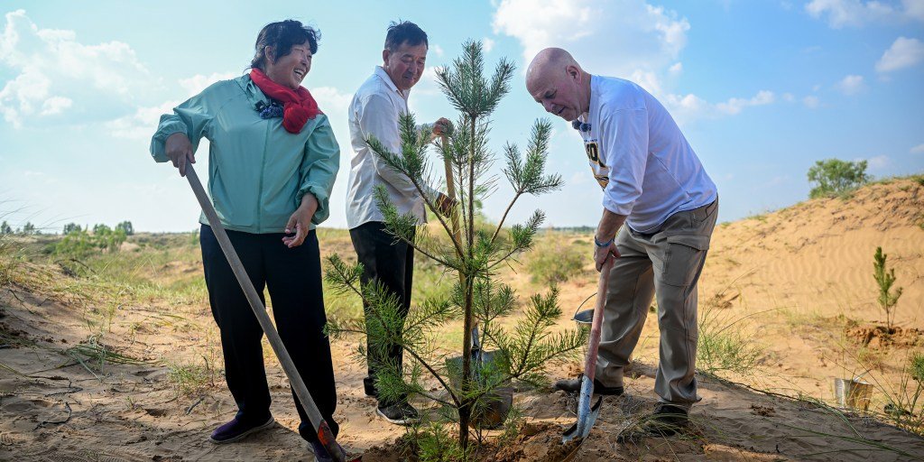American teacher’s donation aids reforestation efforts in China amid mixed progress