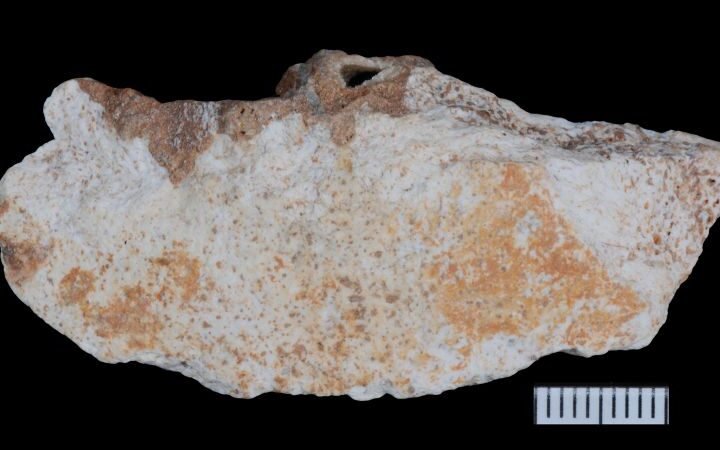 Denisovan fossils unearthed in China shed light on ancient human relatives' lifestyles