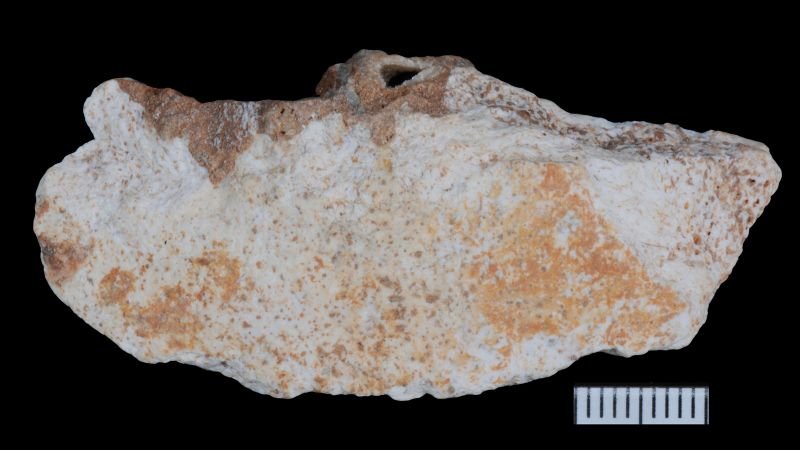 Denisovan fossils unearthed in China shed light on ancient human relatives' lifestyles