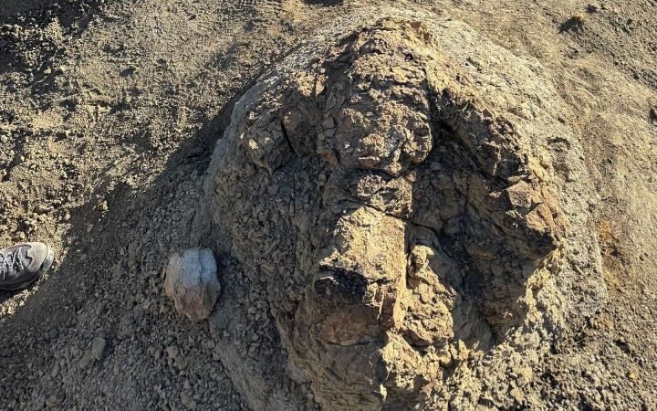First trackway of T. rex discovered in North Dakota by science teacher