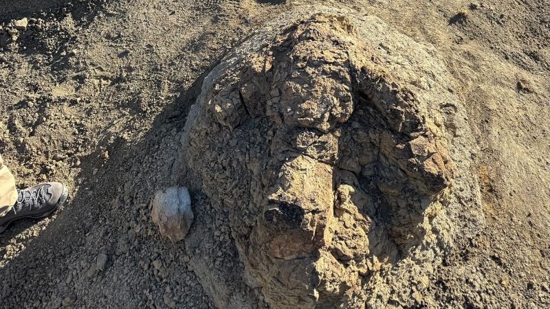 First trackway of T. rex discovered in North Dakota by science teacher