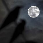 Harvest moon and Saturn align for a spectacular celestial event this weekend