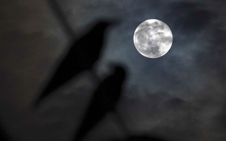 Harvest moon and Saturn align for a spectacular celestial event this weekend