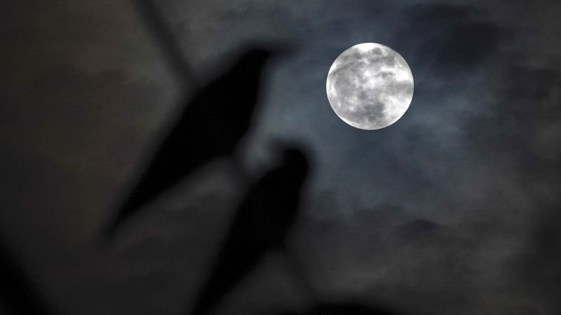 Harvest moon and Saturn align for a spectacular celestial event this weekend