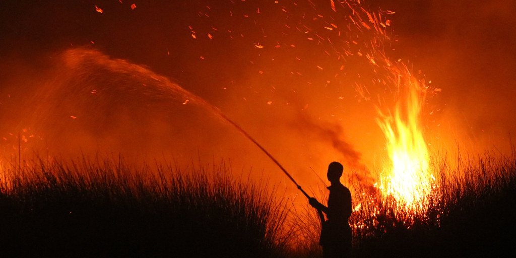 Indonesian wildfires lead to surge in respiratory infections, health officials report