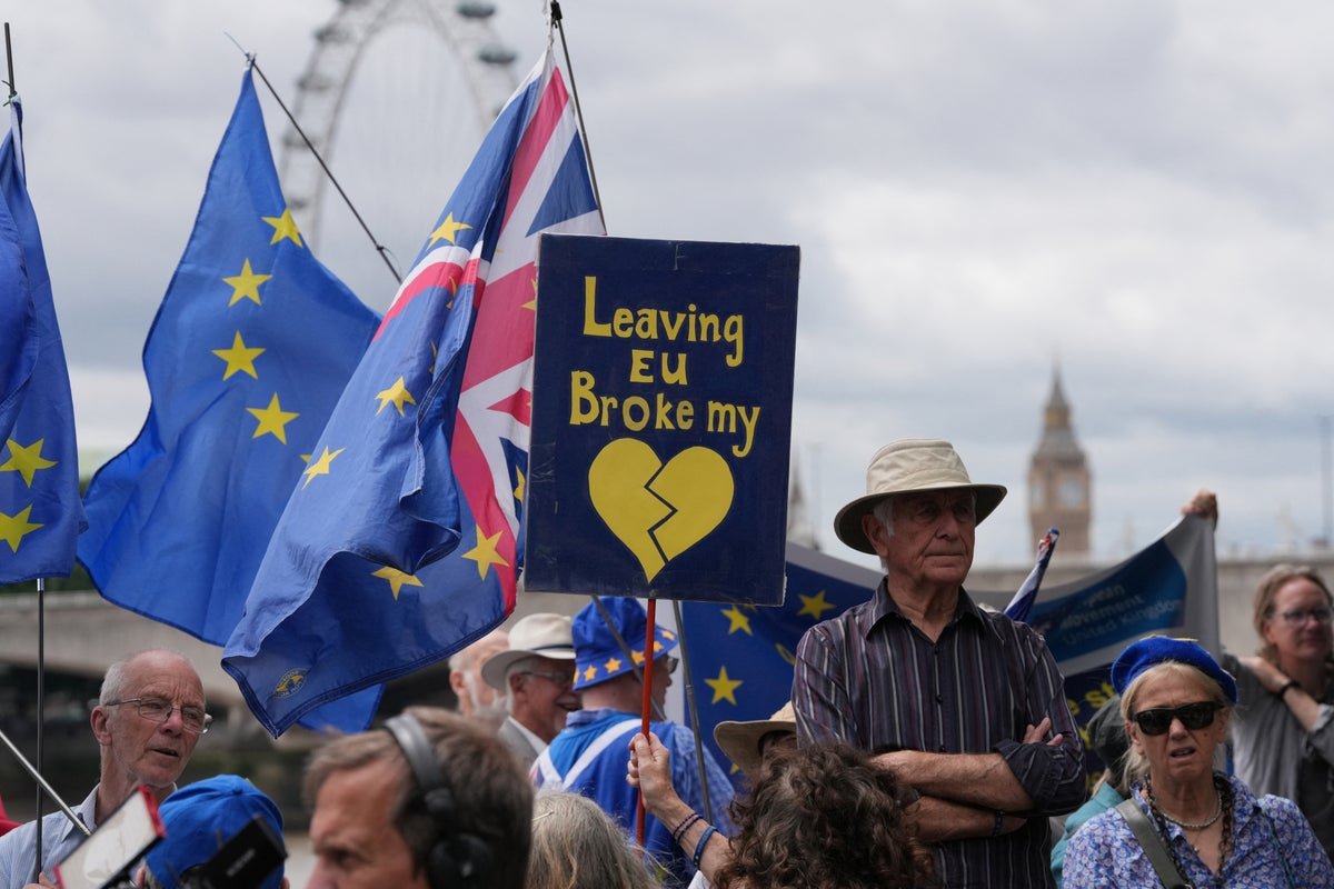 Majority of voters urge Burnham to rethink Labour’s Brexit red lines and engage with EU