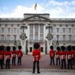 MPs urge defence minister to replace bearskin caps with faux fur for ethical reasons