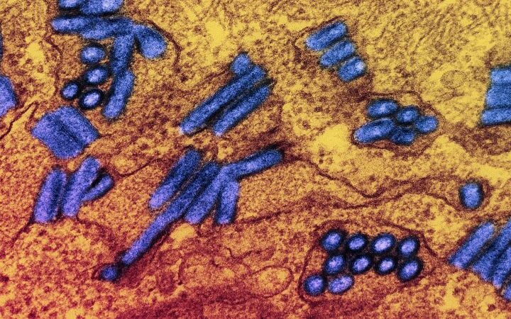 Nearly 300 people evaluated for rabies after exposure to infected goats in North Carolina