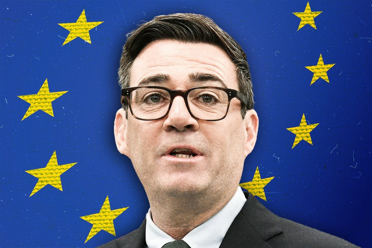 Polling shows 40% of Brexit supporters back stronger defence ties with Europe