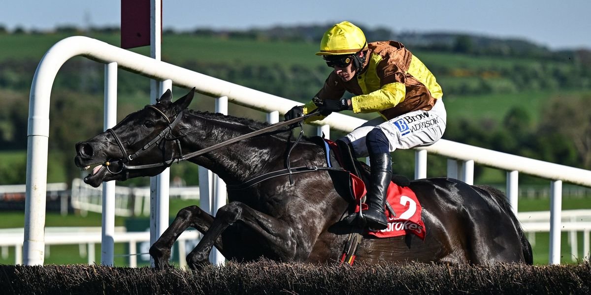 Two-time Cheltenham Gold Cup winner Galopin Des Champs dies following injury at ten