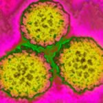 1 in 8 global cancer cases linked to treatable infections, new study reveals