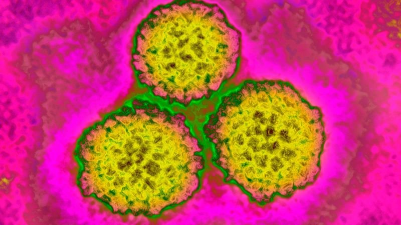 1 in 8 global cancer cases linked to treatable infections, new study reveals