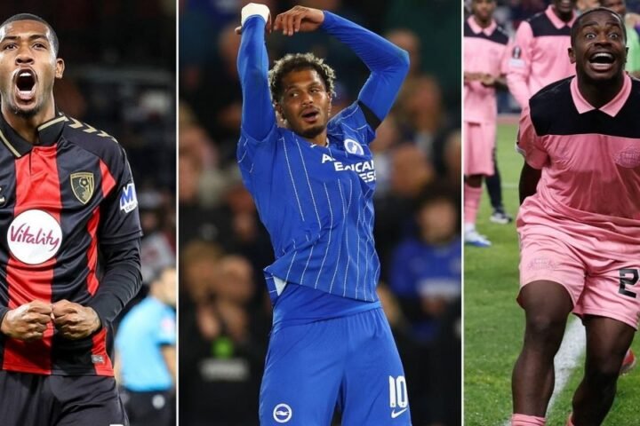 Bournemouth, Sunderland and Brighton achieve wins while Crystal Palace suffers defeat