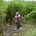 Environmental and human rights violations in supply chains cost the UK £4.4 billion annually