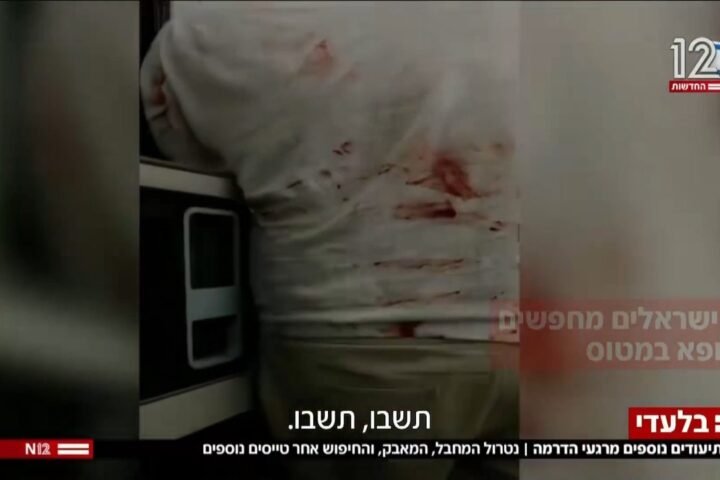 FlyDubai co-pilot launched axe attack on captain in suspected terror incident, UAE reports