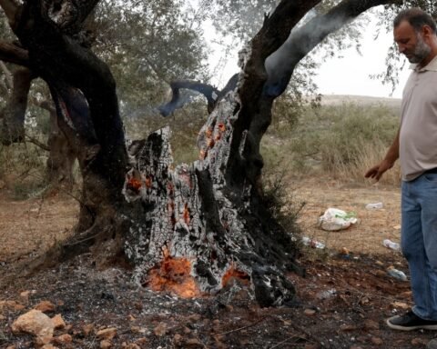 Israeli settlers attack Palestinian olive harvesters in Abu Falah, injuring journalist