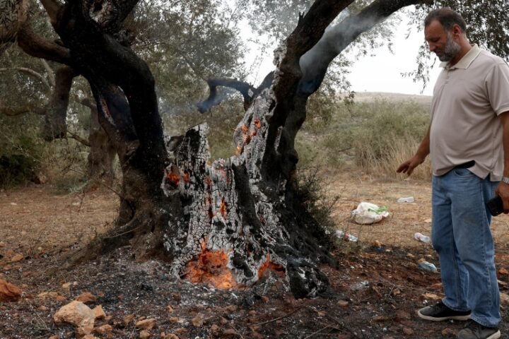 Israeli settlers attack Palestinian olive harvesters in Abu Falah, injuring journalist