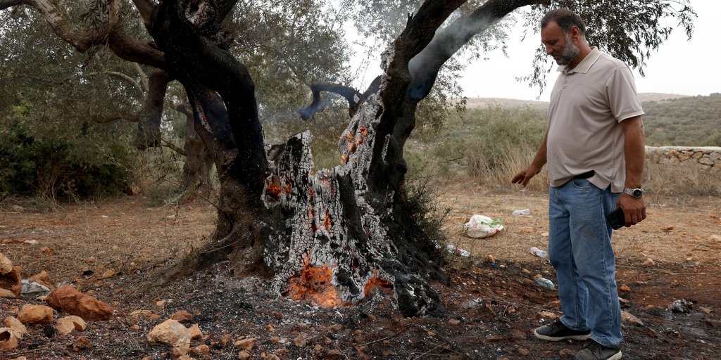 Israeli settlers attack Palestinian olive harvesters in Abu Falah, injuring journalist