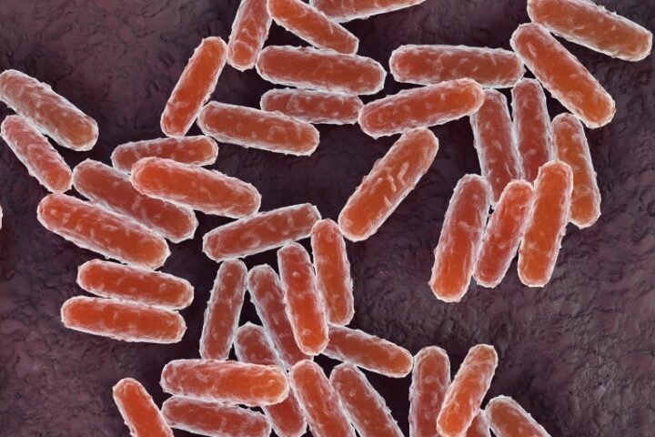 Lab worker's death prompts medical observation for 200 in Siberia amid plague concerns