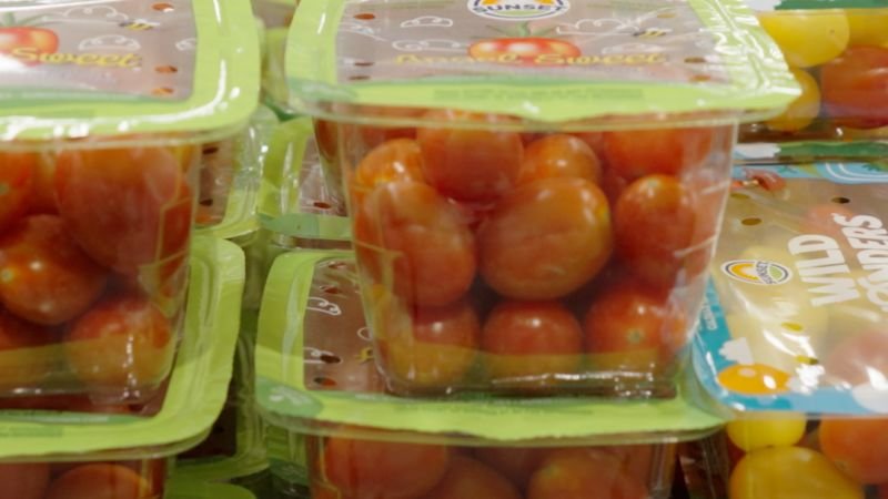 Link discovered between plastic exposure and infertility in couples trying to conceive