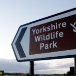 Man fatally injured after entering tiger enclosure at Yorkshire Wildlife Park
