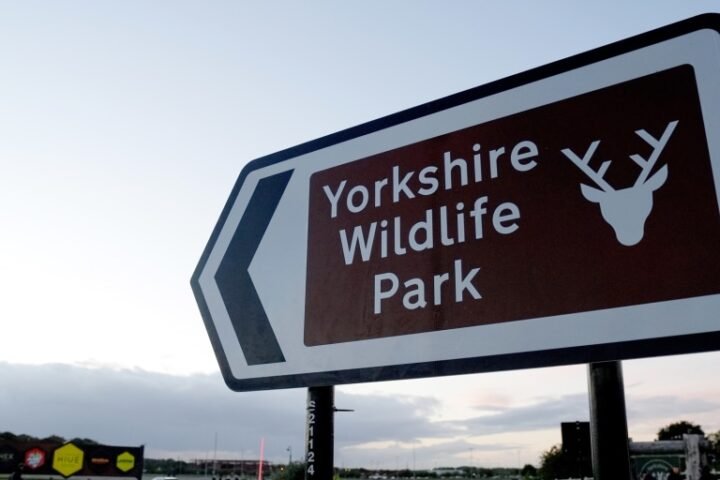 Man fatally injured after entering tiger enclosure at Yorkshire Wildlife Park