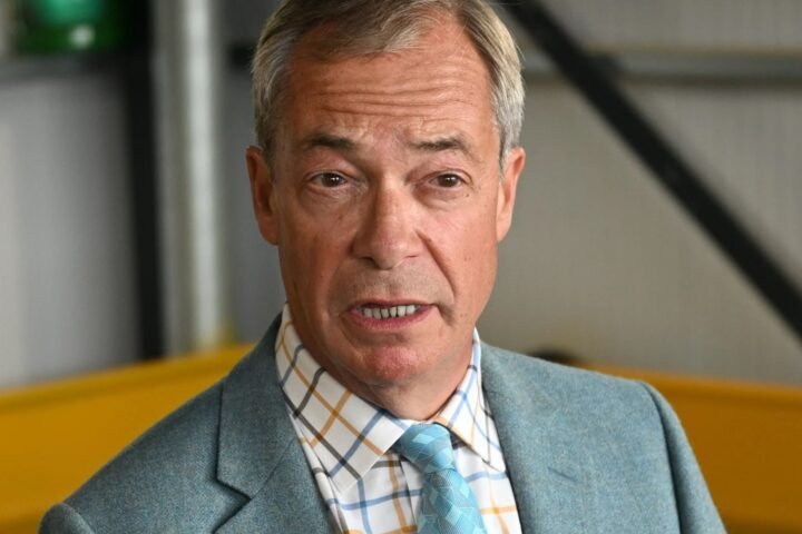 Nigel Farage claims Ann Widdecombe could be alive if police had investigated home attack properly