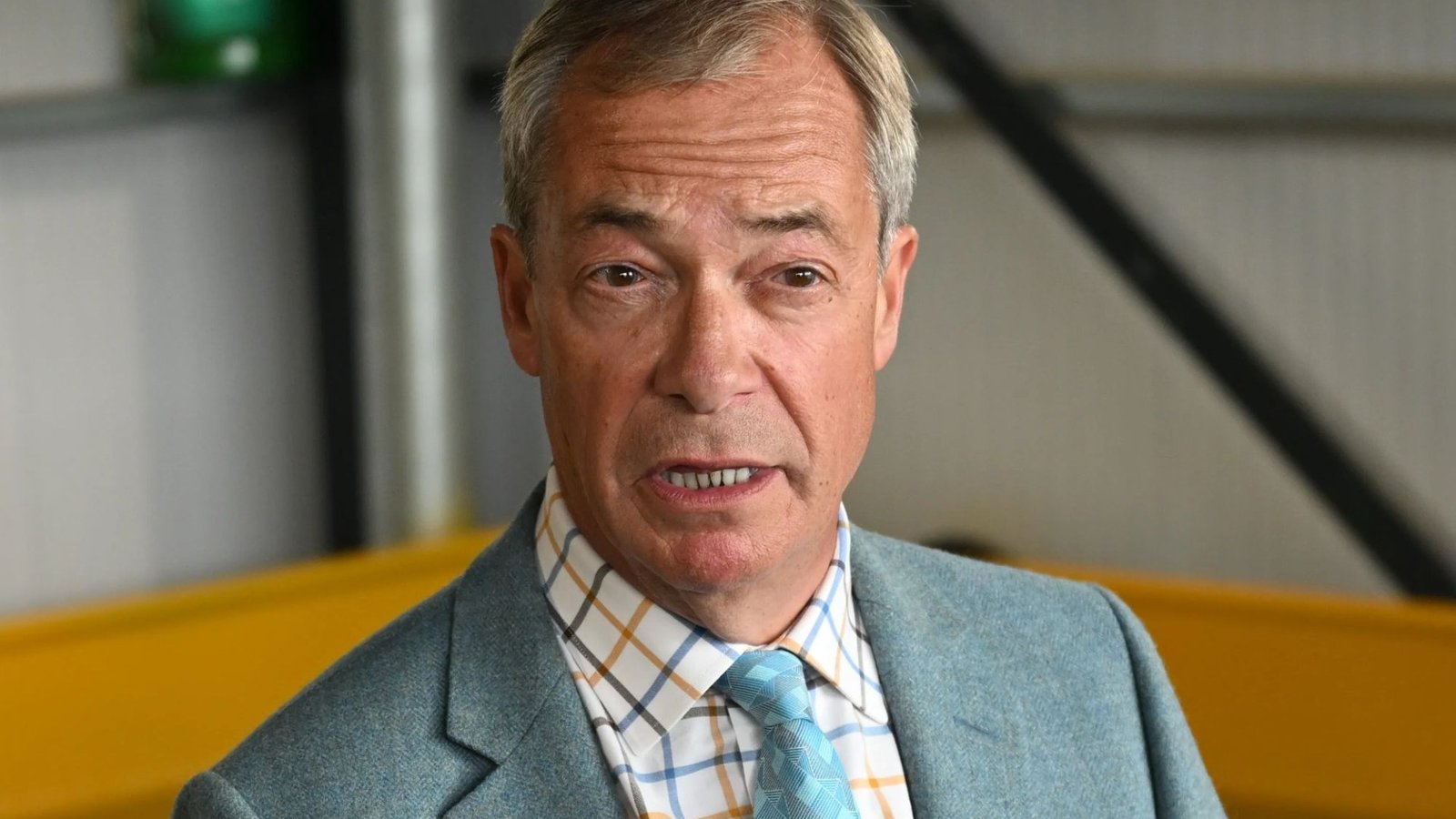 Nigel Farage claims Ann Widdecombe could be alive if police had investigated home attack properly