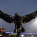PETA calls for Crystal Palace to retire live eagle mascot amid animal welfare concerns