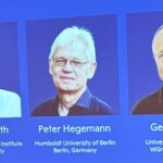 Three scientists awarded 2026 Nobel Prize in medicine for advancements in optogenetics