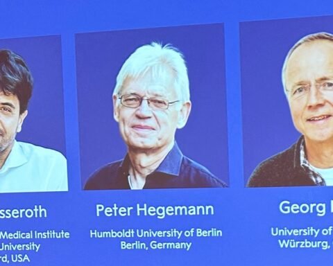 Three scientists awarded 2026 Nobel Prize in medicine for advancements in optogenetics
