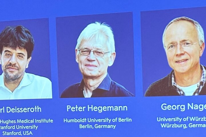 Three scientists awarded 2026 Nobel Prize in medicine for advancements in optogenetics