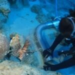 World's oldest shipwreck discovered off Turkey's coast, dating back 4,700 years